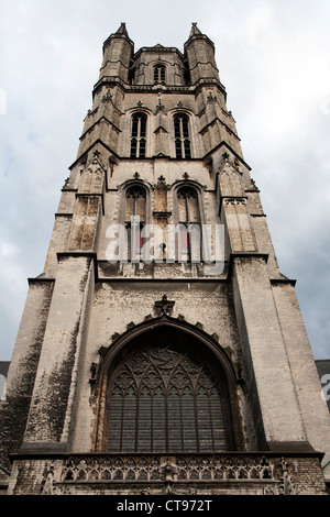 La Cathédrale Saint-Bavon Gand Bruxelles Banque D'Images