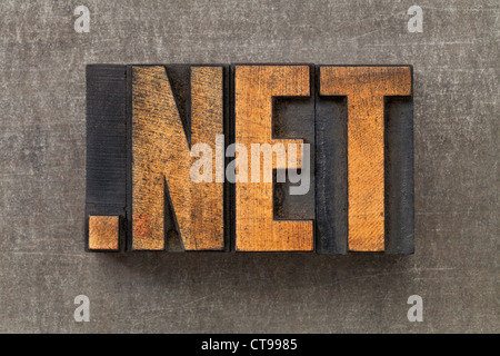 Dot Net - inetwork nternet domaine dans la typographie en bois vintage blocs sur une feuille de métal grunge Banque D'Images