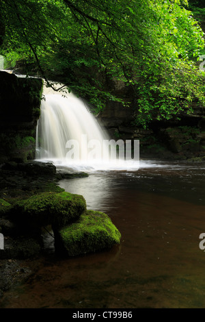Chutes de West Burton, Wensleydale, Yorkshire du Nord. Connu localement sous le chaudron de travail Banque D'Images