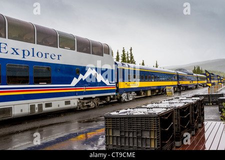 Attendant sous la pluie le train Holland America McKinley Explorer - Alaska Railroad au dépôt de Denali Alaska Railroad au parc national Denali. Banque D'Images