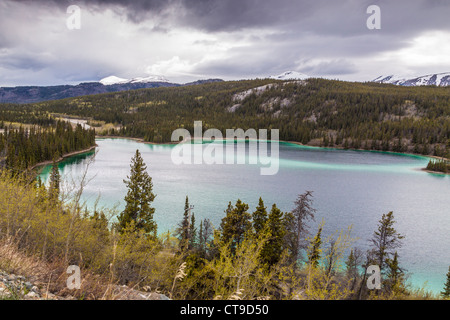 Emerald Lake, territoire du Yukon, Canada. Banque D'Images