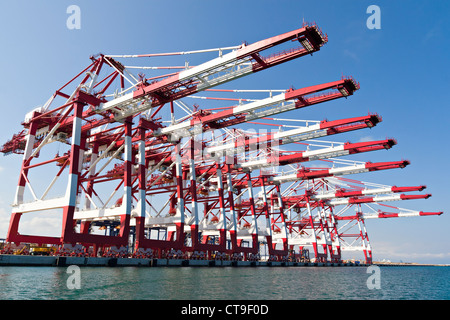 Grues de chargement au port industriel Banque D'Images