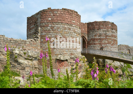 Château de Beeston ruines de la passerelle intérieure passerelle moderne passerelle à travers le fossé profond à l'entrée au sommet de 500ft crag au-dessus de Cheshire Plain Angleterre Royaume-Uni Banque D'Images