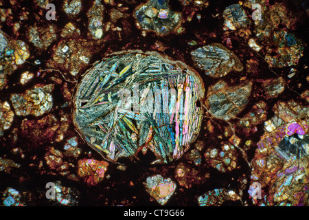 Section mince d'une météorite photomicrographie, la RNF éclairage polarisé, 6326, DLL3-6 (S1/W2) Afrique du Nord-Ouest Banque D'Images