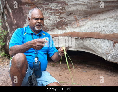 Nugal-warra elder Wilfred Willie Gordon d'Guurrbi tours explique l'art rupestre aborigène peinture rupestre sur les terres autochtones, Cooktown Banque D'Images