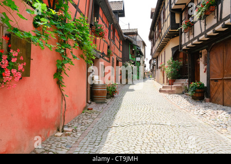 Ruelle de la ville médiévale de Riquewihr, France Banque D'Images