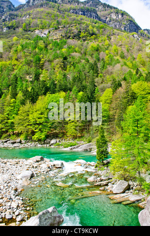 Lavertezzo Hélicoptère,la matière à Hillside House au-dessus de Village,Val Verzasca Tessin,Rivière Verzasca,Suisse, Banque D'Images