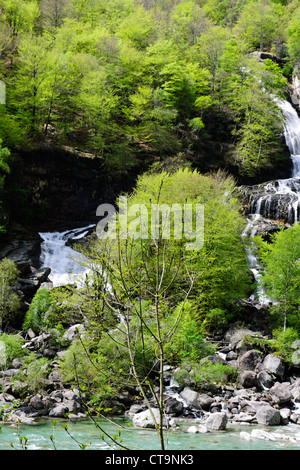Clair comme de l'eau Canoë Canoë blanc,vert,naturel,les vallées de l'environnement, la vallée de la rivière Verzasca Tessin,Alpes,Suisse, Banque D'Images