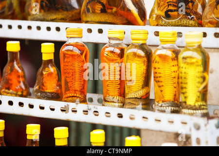 Bouteilles avec des serpents et des scorpions dans street shop. Sapa, Vietnam Banque D'Images