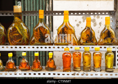 Bouteilles avec des serpents et des scorpions dans street shop. Sapa, Vietnam Banque D'Images