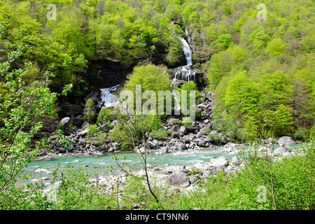 Clair comme de l'eau Canoë Canoë blanc,vert,naturel,les vallées de l'environnement, la vallée de la rivière Verzasca Tessin,Alpes,Suisse, Banque D'Images