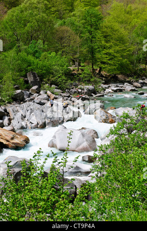 Clair comme de l'eau Canoë Canoë blanc,vert,naturel,les vallées de l'environnement, la vallée de la rivière Verzasca Tessin,Alpes,Suisse, Banque D'Images