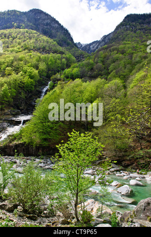 Clair comme de l'eau Canoë Canoë blanc,vert,naturel,les vallées de l'environnement, la vallée de la rivière Verzasca Tessin,Alpes,Suisse, Banque D'Images
