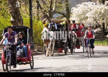 Horse And Carriage dans Central Park, NYC Banque D'Images