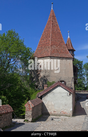 Sighişoara, Transylvanie Carpatique, la Târnava Mare dans la rivière Mureş, Roumanie, Europe de l'Est, de l'UNION EUROPÉENNE Banque D'Images