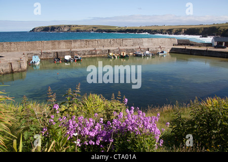 Île de Lewis, en Écosse. Petits bateaux de pêche sont amarrés au port pittoresque port de Nis. Banque D'Images