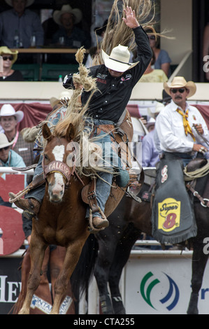 Saddle bronc événement au Calgary Stampede Rodeo Banque D'Images