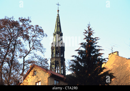 Cathédrale de Notre Dame, la tour de Sandomierz, Pologne Banque D'Images