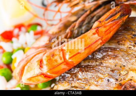 Crevettes géantes avec des poissons de mer. Banque D'Images