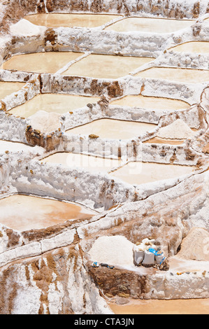 Salines de Maras construit sur les terrasses près, au Pérou. Banque D'Images