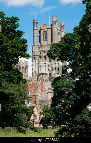 Cathédrale d'Ely, Cambridgeshire, Angleterre Banque D'Images