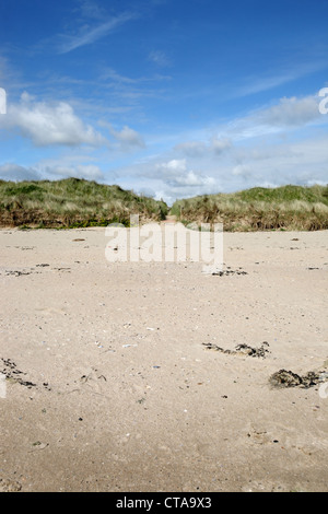 Portraine beach l'Irlande Banque D'Images