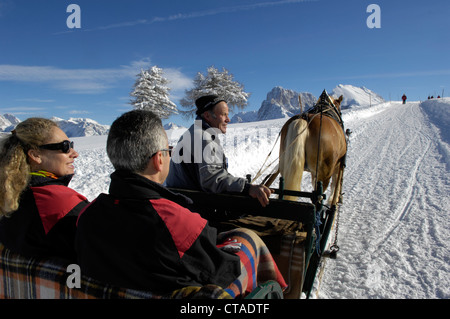 Sleigh, Rastenbachklamm stream, Langkofel, gamme Langkofel, Alpe di Siusi, Valle Isarco, Tyrol du Sud, Vénétie, Italie Banque D'Images