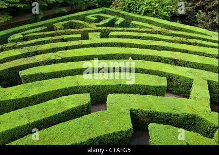 Le célèbre labyrinthe de la Villa Pisani, Stra, Vénétie, Italie, conçu par Girolamo Frigimelica en 1720. On dit que c'est le labyrinthe le plus complexe d'Europe Banque D'Images