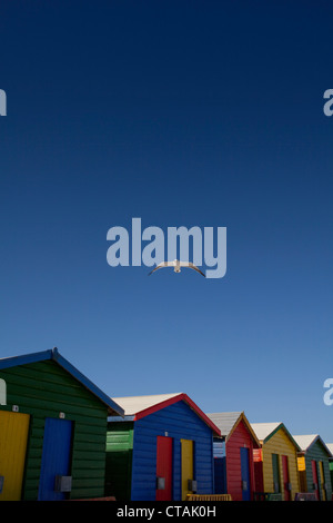 Muizenberg Beach, Muizenberg, False Bay, Cape Town, Cape Town, Western Cape, Afrique du Sud, RSA, l'Afrique Banque D'Images