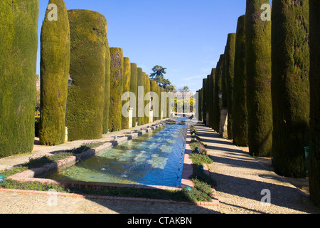 Les jardins de l'alcazar de los Reyes Cristianos à Cordoba, Espagne Banque D'Images