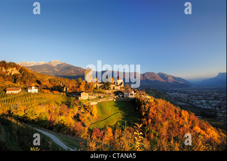 Château Schloss Tirol de vignes dans des couleurs automnales, gamme Sarntal et Meran en arrière-plan, Schloss Tirol, Meran, le Tyrol du Sud, Banque D'Images