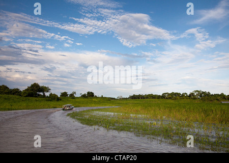 Excursion en bateau sur le bras du côté du fleuve Amazone, près de Manaus, Amazonas, Brésil, Amérique du Sud Banque D'Images