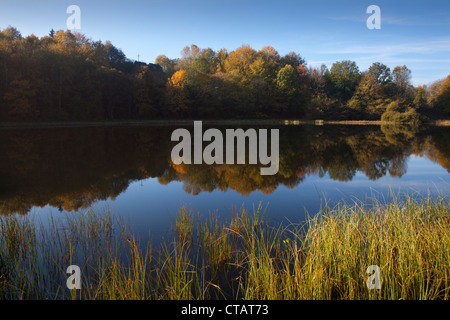 Réflexion sur Mosenmaar, lac de cratère sur Mosenberg hill, à Speicher (de), près de Daun, Eifel, Rhénanie-Palatinat, Allemagne, Europe Banque D'Images