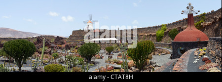 Jardin de Cactus - Lanzarote, Canary Islands, Spain, Europe Banque D'Images