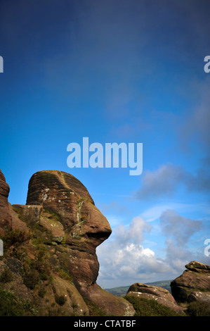 Pierre meulière rock formation sous la forme d'une tête humaine sur les blattes, nuage de poule, Peak District National Park, Angleterre Banque D'Images