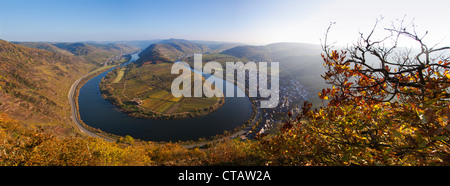 Vue panoramique de Bremmer Calmont vigne sur le méandre de la Moselle à Bremm, Moselle, Rhénanie-Palatinat, Allemagne, E Banque D'Images