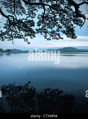 Lac artificiel Tissa-le matin, Tissamaharama, autour de parc national de Yala, au Sri Lanka Banque D'Images