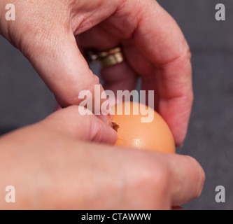 Brown egg étant fissuré et ouvert par les mains des femmes Banque D'Images