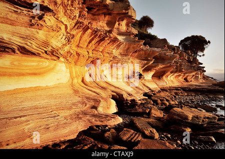 Falaises peintes sur Maria Island, Tasmanie, Australie Banque D'Images