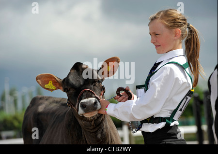 Les bovins laitiers en montrant les jeunes chiens section d'une foire agricole au Royaume-Uni. Banque D'Images