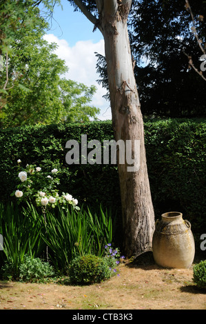 Une urne dans un jardin anglais au cours d'une sécheresse UK Banque D'Images