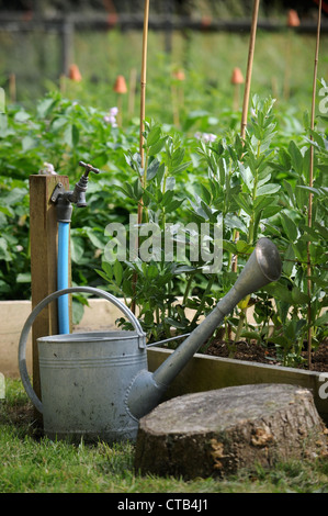 Un arrosoir et le jardin à côté du robinet soulevées lits végétale UK Banque D'Images