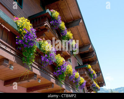 Les boîtes à fleurs colorées sur une maison de style chalet typique autrichien à Kaprun, Autriche Banque D'Images