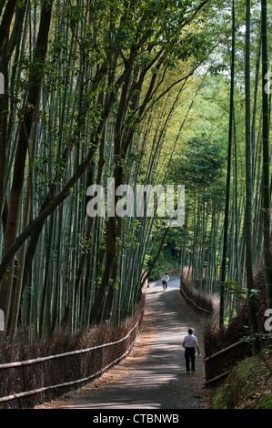 Le célèbre bosquet de bambou Sagano à Arashiyama, Kyoto, Japon, une attraction touristique populaire pour les marcheurs et les cyclistes Banque D'Images