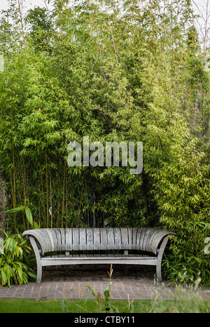 Banquette en bois incurvé soutenu par de hautes graminées bambou Jardin botanique en gallois au Pays de Galles du Sud, UK Banque D'Images