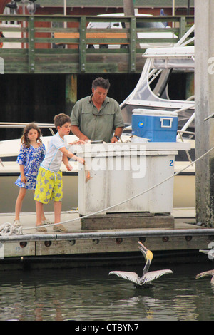 Les pélicans d'alimentation à quai, Fernandina Beach, Florida, USA Banque D'Images