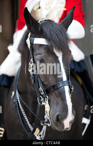 Détail d'un des gardes de la vie tout en uniforme à l'extérieur de Horse Guards Parade, Whitehall, dans la ville de Londres Banque D'Images