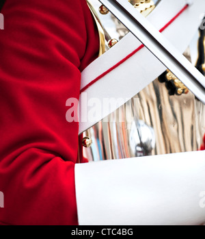 Détail d'un des gardes de la vie tout en uniforme à l'extérieur de Horse Guards Parade, Whitehall, dans la ville de Londres Banque D'Images