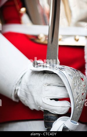 Détail d'un des gardes de la vie tout en uniforme à l'extérieur de Horse Guards Parade dans la ville de Londres Banque D'Images