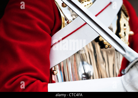 Détail d'un des gardes de la vie tout en uniforme à l'extérieur de Horse Guards Parade dans la ville de Londres Banque D'Images